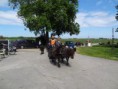 /album/menrit-02-06-2014/dsc00494-kopie-jpg/